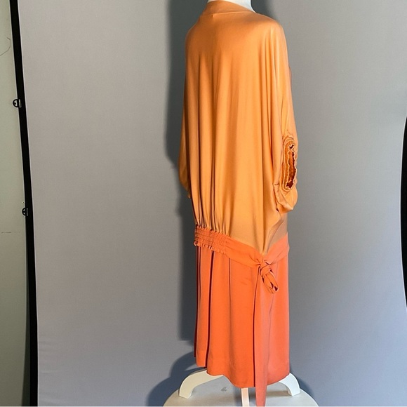 Diane Von Furstenberg Peach/Apricot Silk Drop Waist Batwing Puffed Sleeves Dress - Picture 6 of 16
